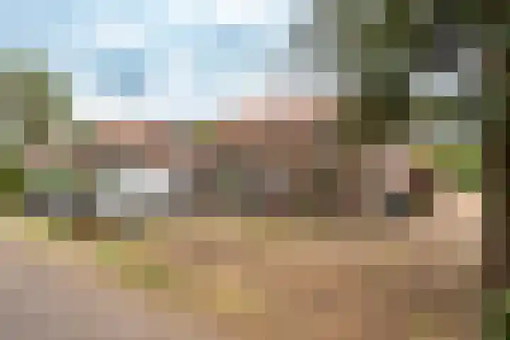 Graaf Reinoldweg 28 't Harde thumbnail 34