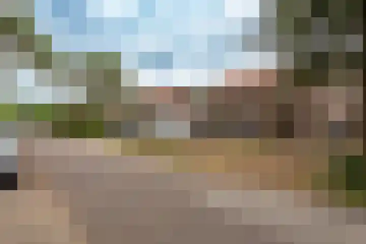 Graaf Reinoldweg 28 't Harde thumbnail 35