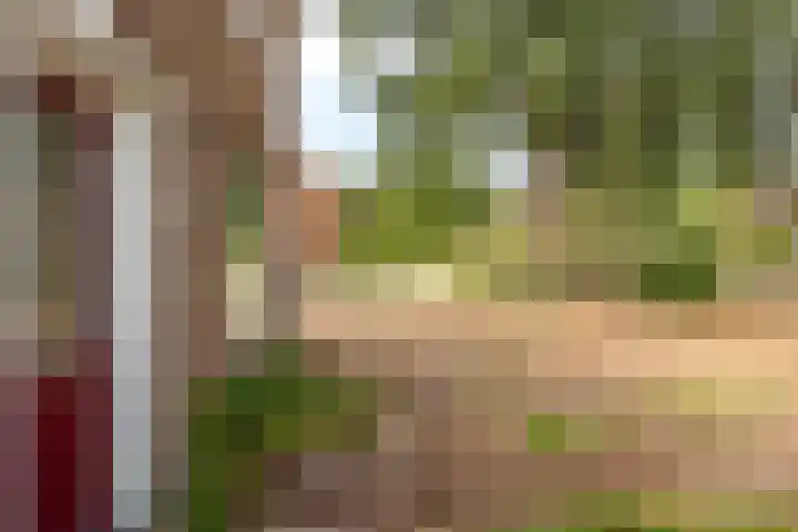Graaf Reinoldweg 28 't Harde thumbnail 4