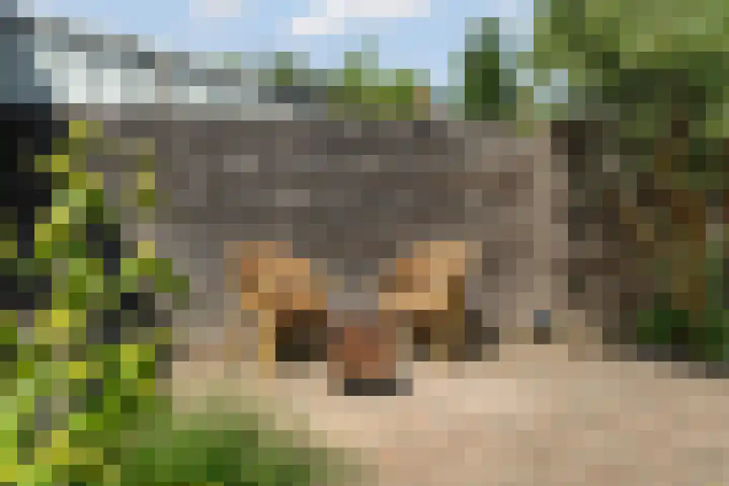 Graaf Reinoutstraat 28 Zevenaar thumbnail 36