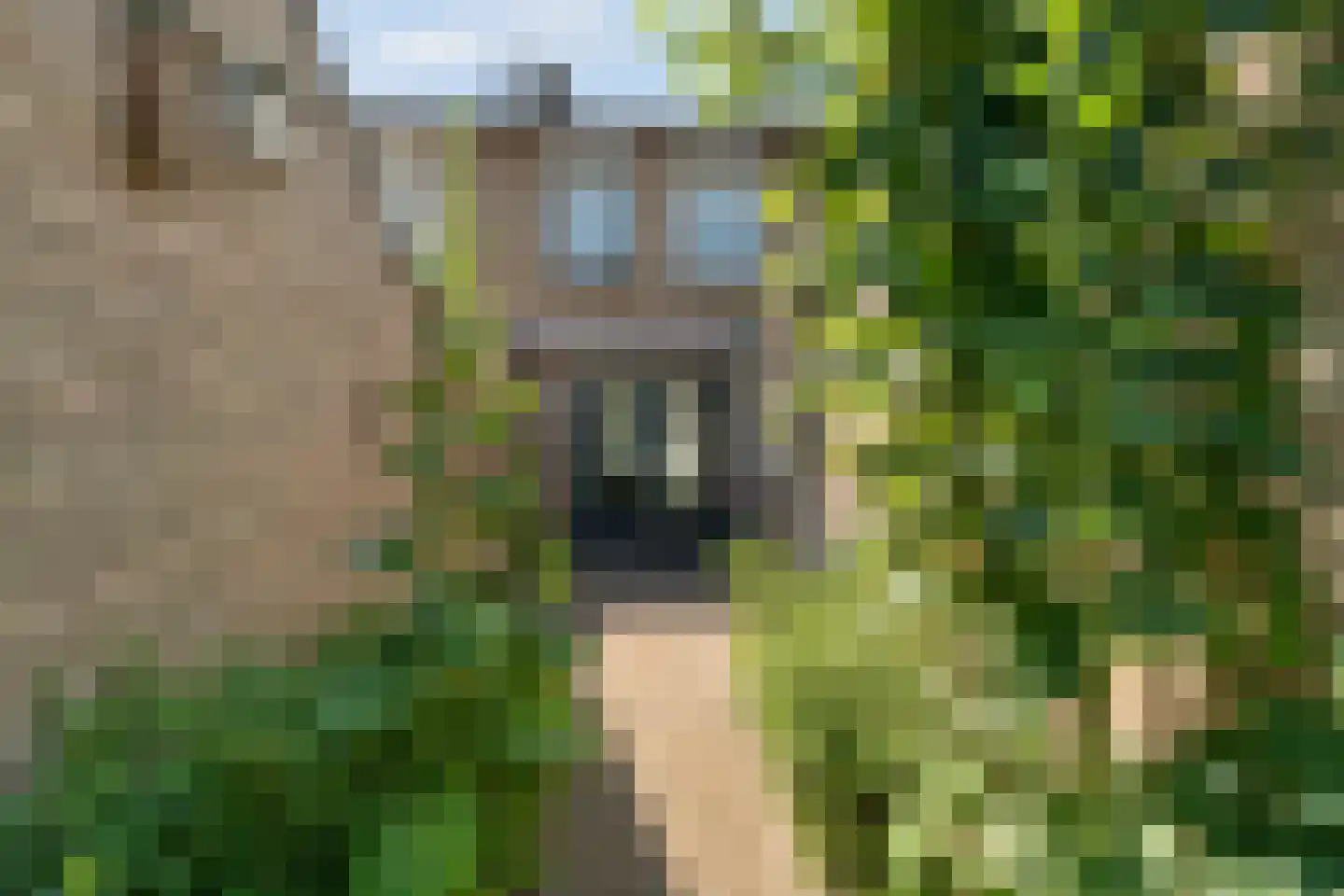 Graaf Reinoutstraat 28 Zevenaar thumbnail 5