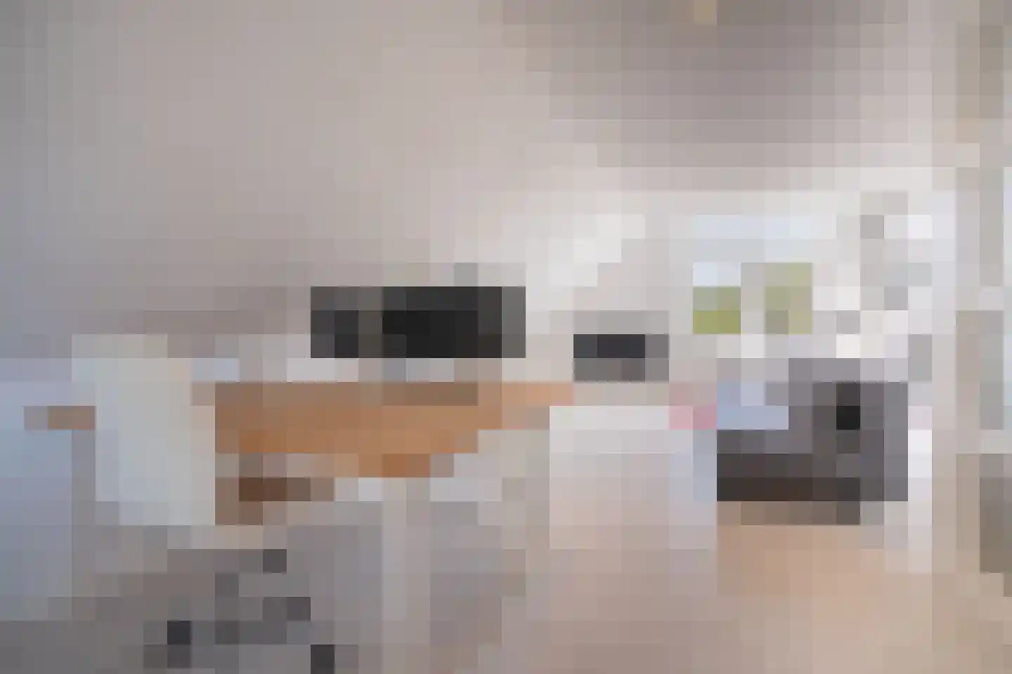 Graaf Rupertlaan 11 Nieuwegein thumbnail 32