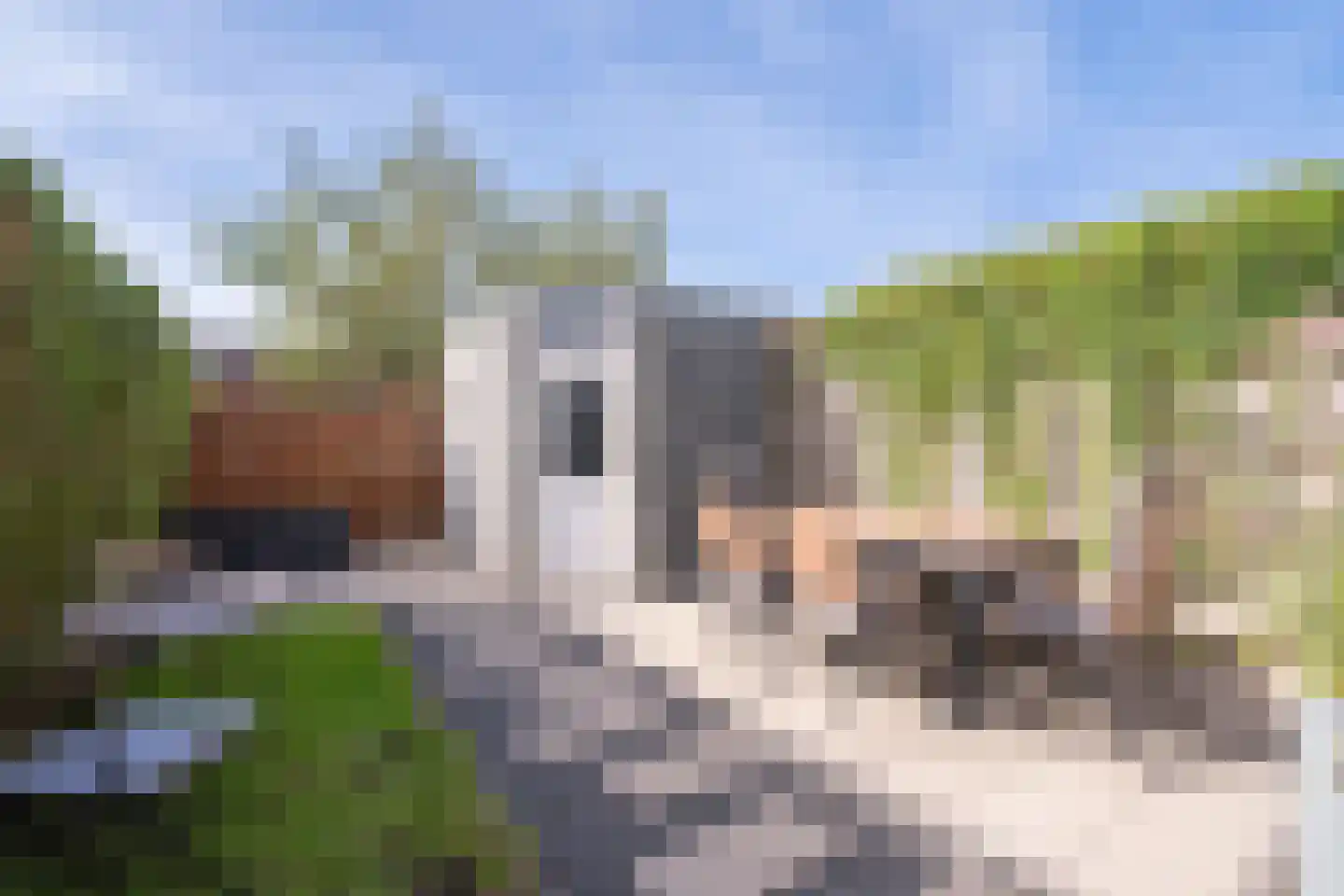 Graaf Rupertlaan 11 Nieuwegein thumbnail 36
