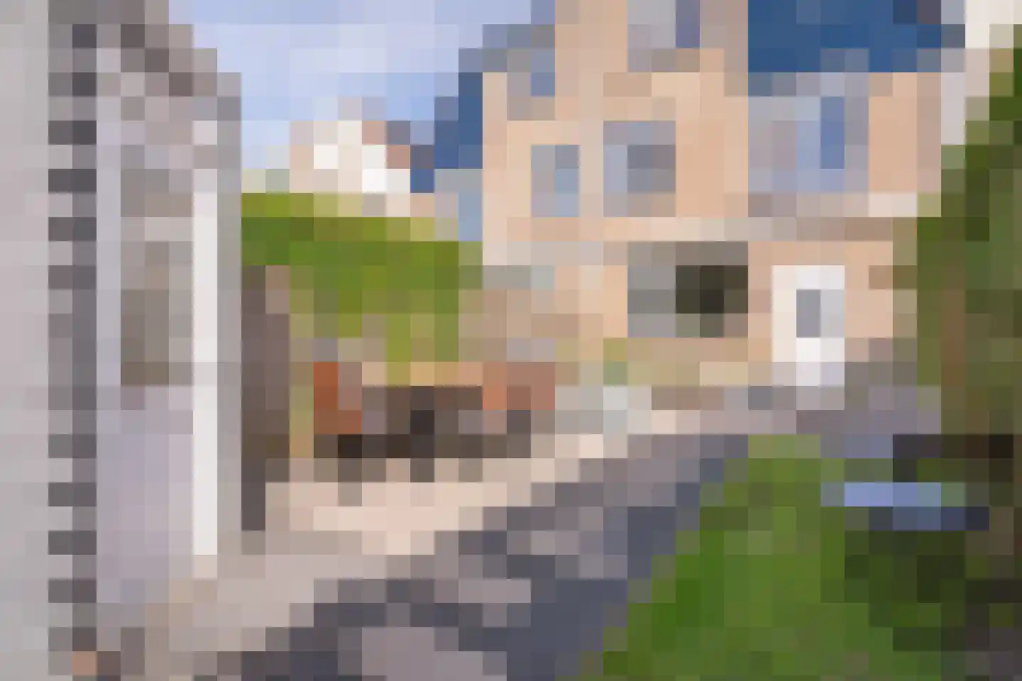 Graaf Rupertlaan 11 Nieuwegein thumbnail 37