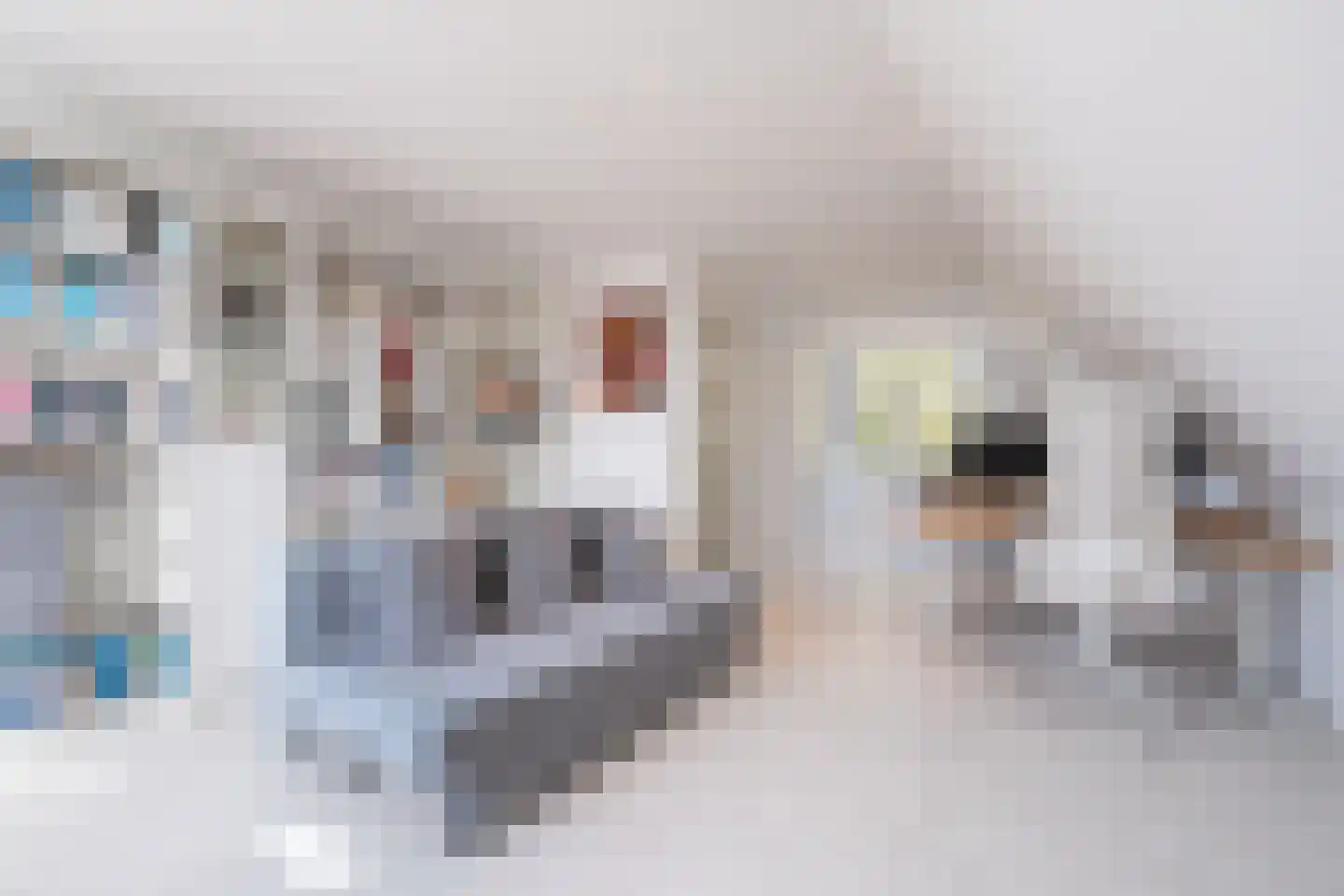 Graaf Rupertlaan 11 Nieuwegein thumbnail 5
