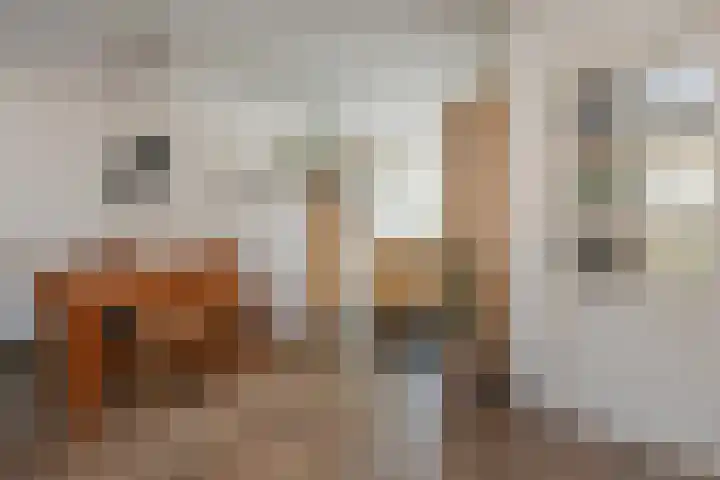 Graaf Ruprechtlaan 30 Leidschendam thumbnail 20