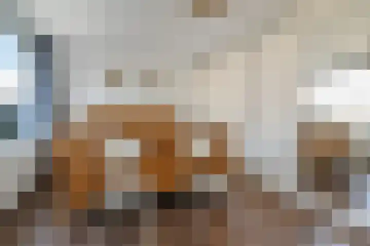 Graaf Ruprechtlaan 30 Leidschendam thumbnail 37