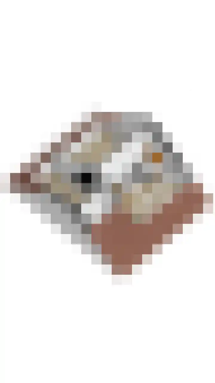 Graaf Ruprechtlaan 30 Leidschendam thumbnail 46