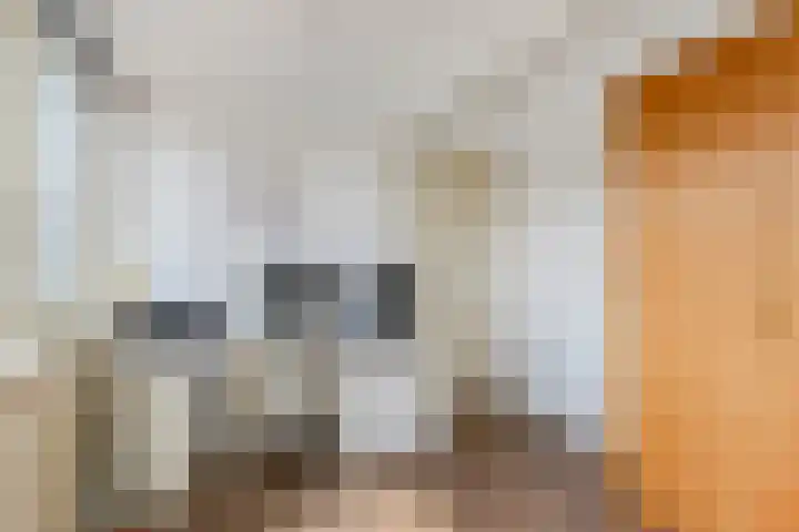 Graaf Ruprechtlaan 30 Leidschendam thumbnail 49