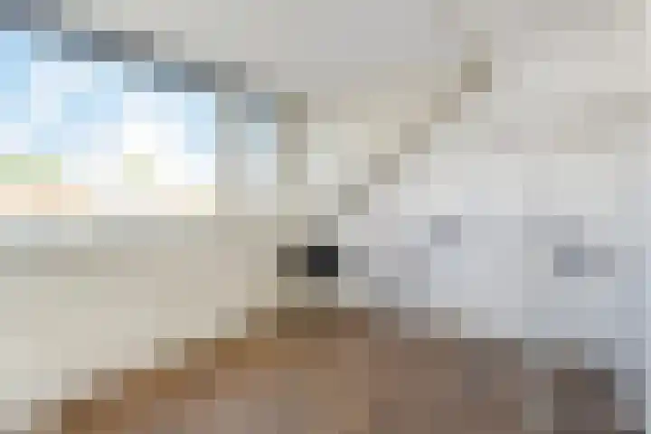 Graaf Ruprechtlaan 30 Leidschendam thumbnail 50