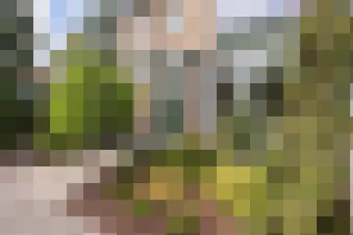 Graaf Ruprechtlaan 30 Leidschendam thumbnail 7