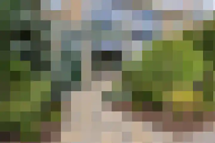 Graaf Ruprechtlaan 30 Leidschendam thumbnail 9