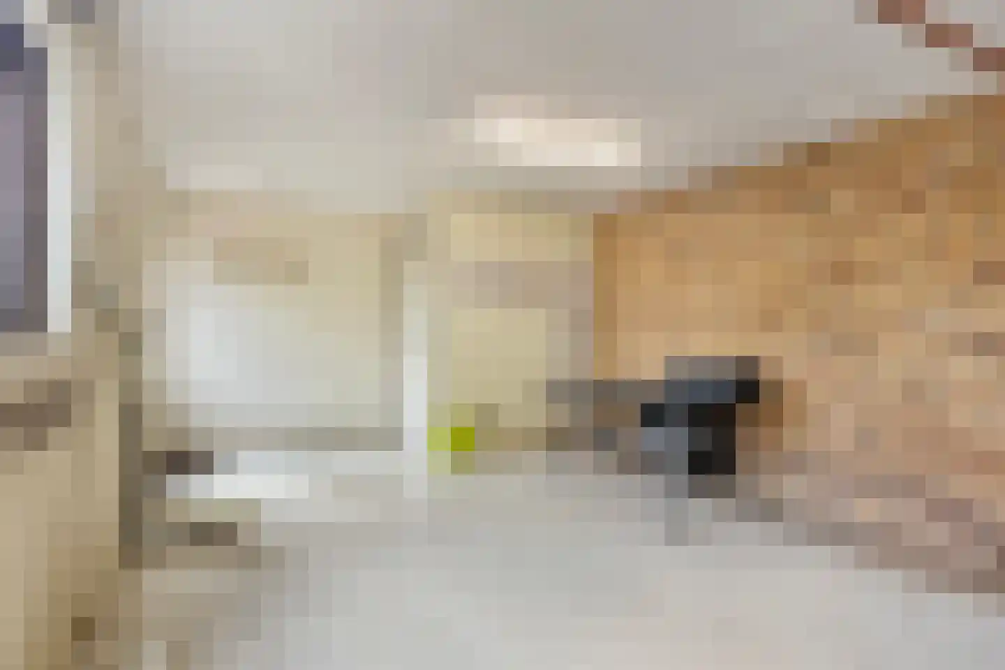 Graaf van Aremberglaan 23 Heemskerk thumbnail 24