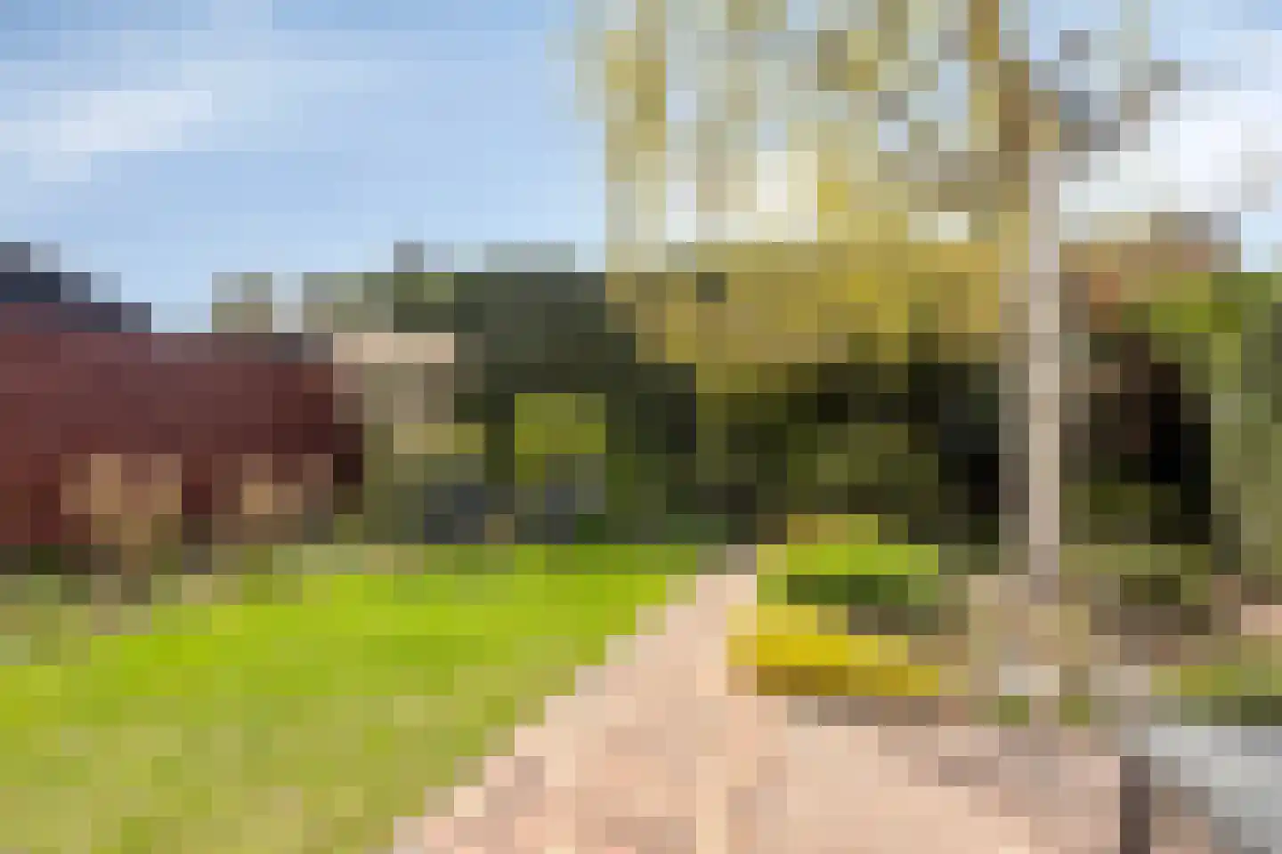 Graaf van Aremberglaan 23 Heemskerk thumbnail 30