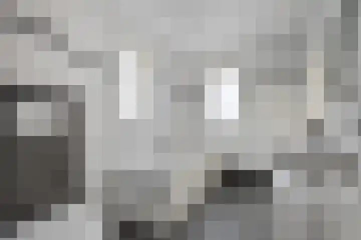 Graaf van Bentheimlaan 14 Renswoude thumbnail 11
