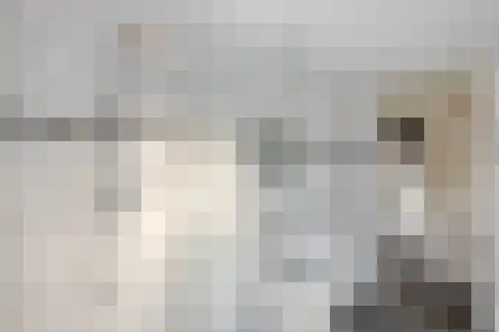 Graaf van Bentheimlaan 14 Renswoude thumbnail 12