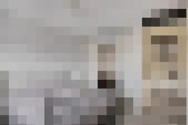 Graaf van Bentheimlaan 14 Renswoude thumbnail 14