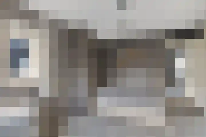 Graaf van Bentheimlaan 14 Renswoude thumbnail 16