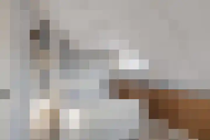 Graaf van Bentheimlaan 14 Renswoude thumbnail 23