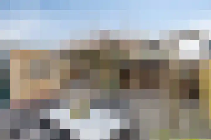 Graaf van Bentheimlaan 14 Renswoude thumbnail 27