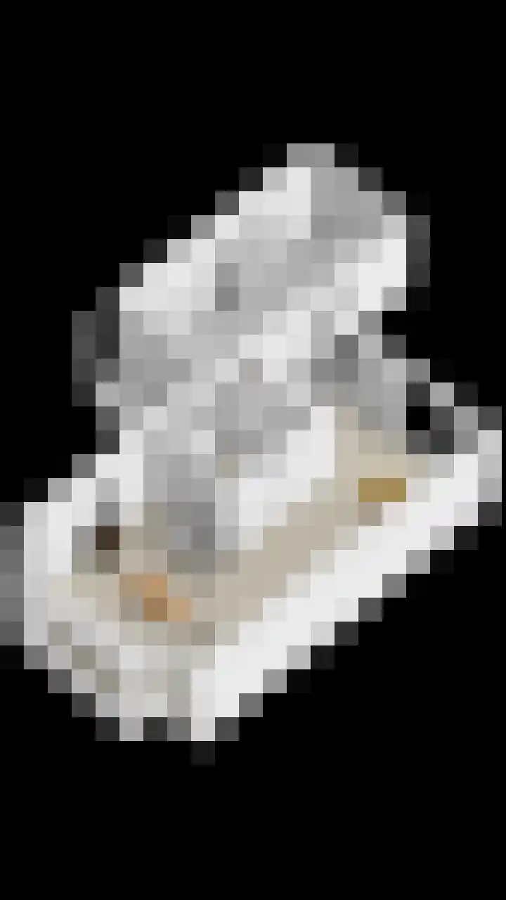 Graaf van Bentheimlaan 14 Renswoude thumbnail 37