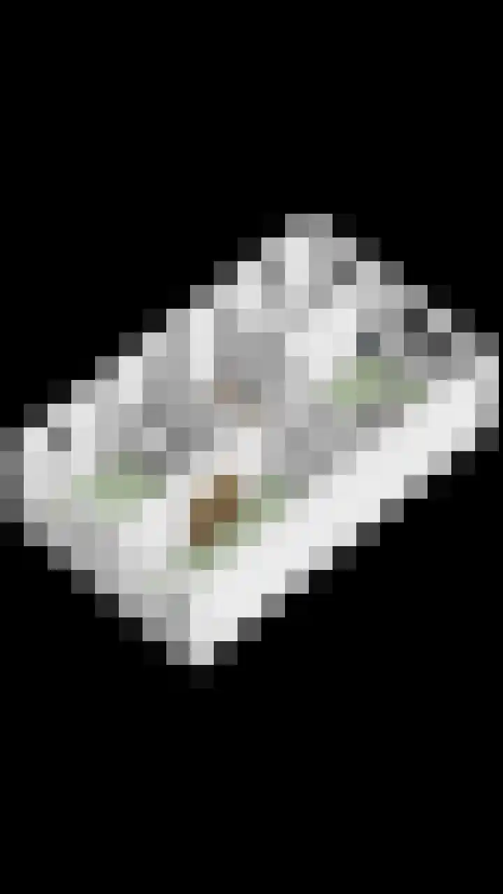 Graaf van Bentheimlaan 14 Renswoude thumbnail 38