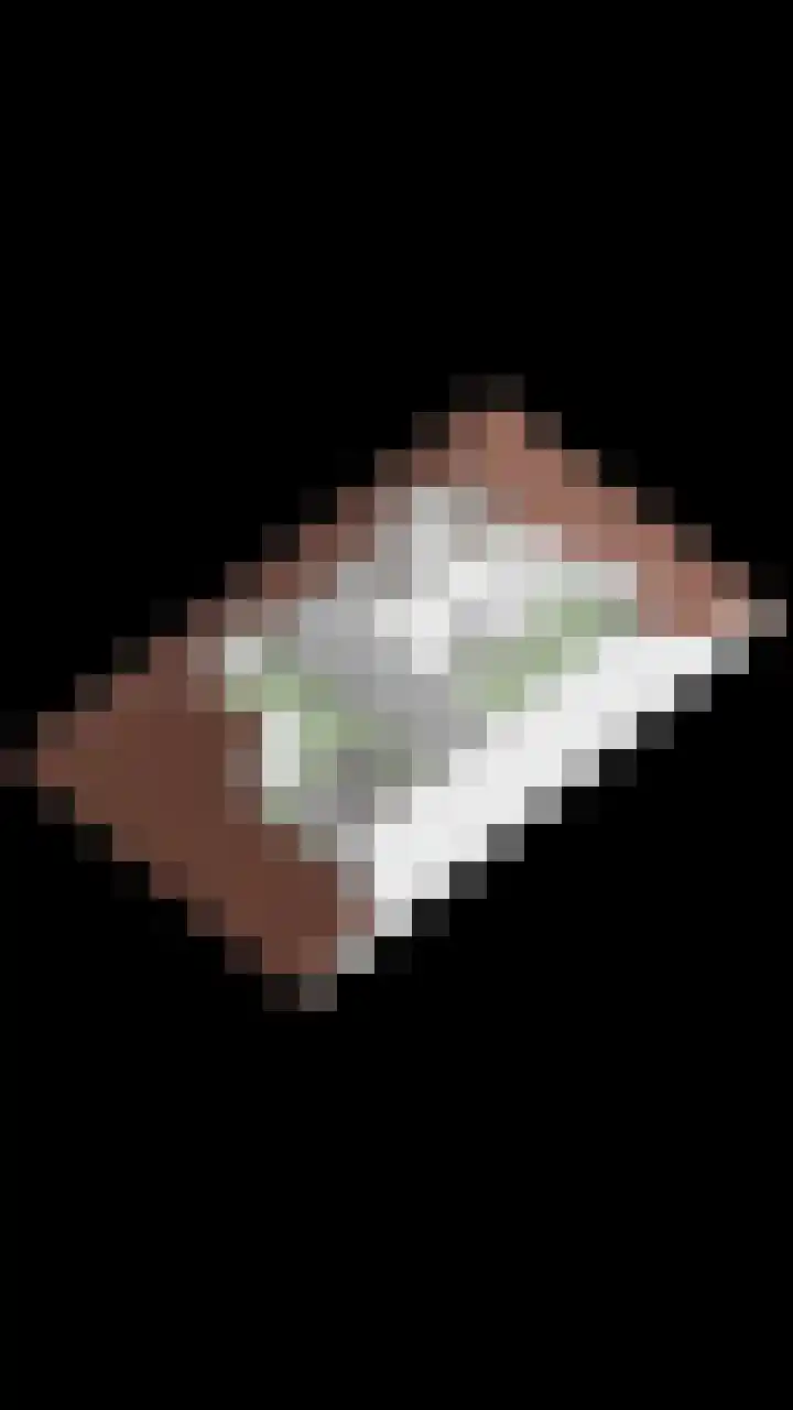 Graaf van Bentheimlaan 14 Renswoude thumbnail 39