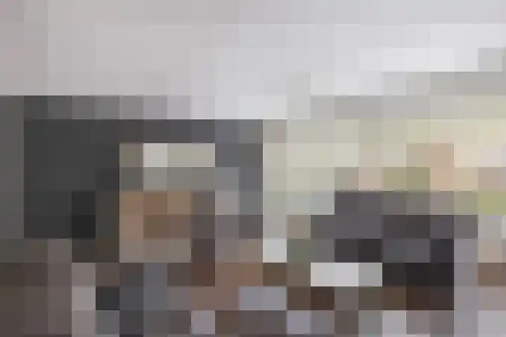 Graaf van Bentheimlaan 14 Renswoude thumbnail 4