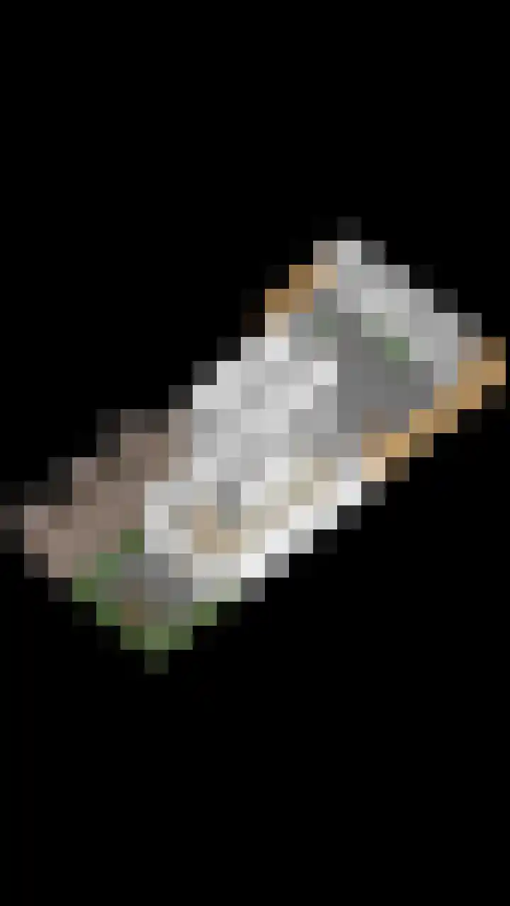 Graaf van Bentheimlaan 14 Renswoude thumbnail 40