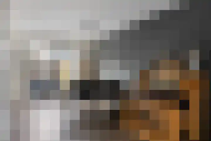 Graaf van Bentheimlaan 14 Renswoude thumbnail 6