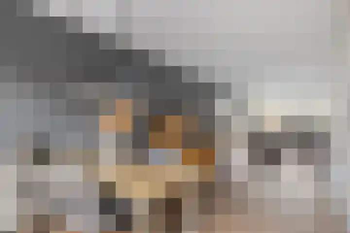 Graaf van Bentheimlaan 14 Renswoude thumbnail 7