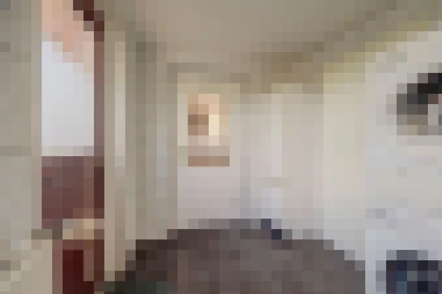 Graaf van Berghstraat 5 Millingen aan de Rijn thumbnail 21