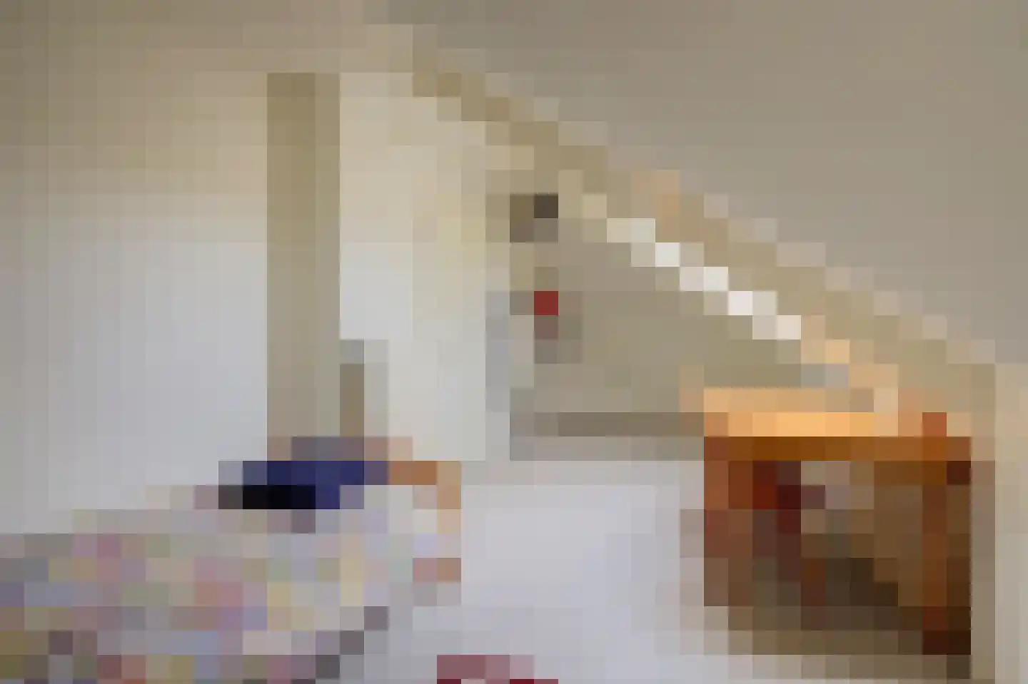 Graaf van Berghstraat 5 Millingen aan de Rijn thumbnail 28