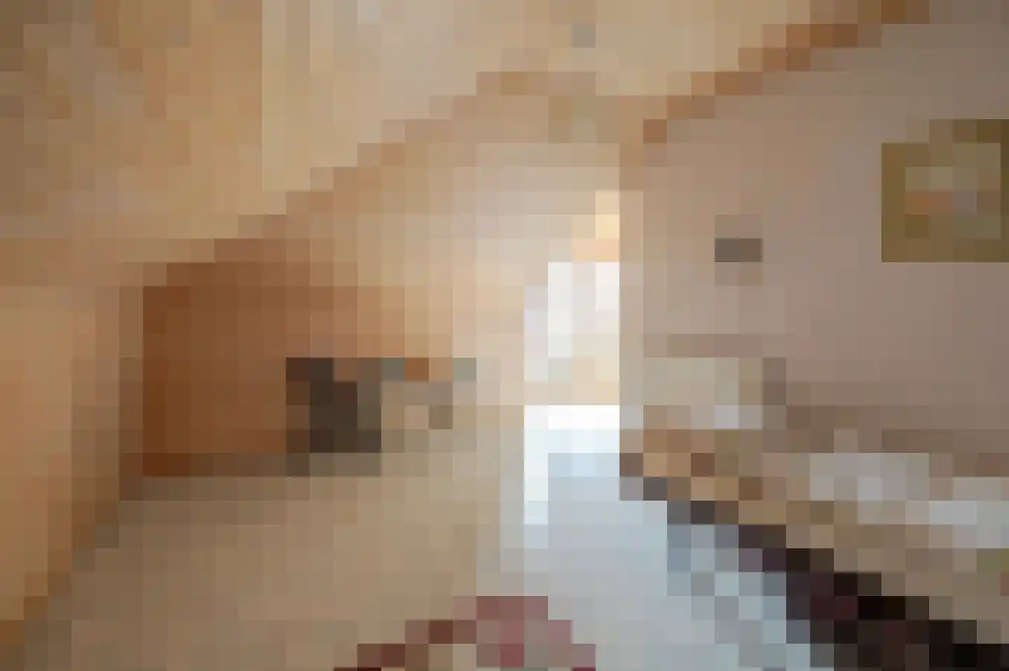 Graaf van Berghstraat 5 Millingen aan de Rijn thumbnail 33
