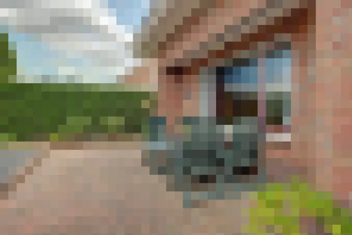 Graaf van Berghstraat 5 Millingen aan de Rijn thumbnail 37