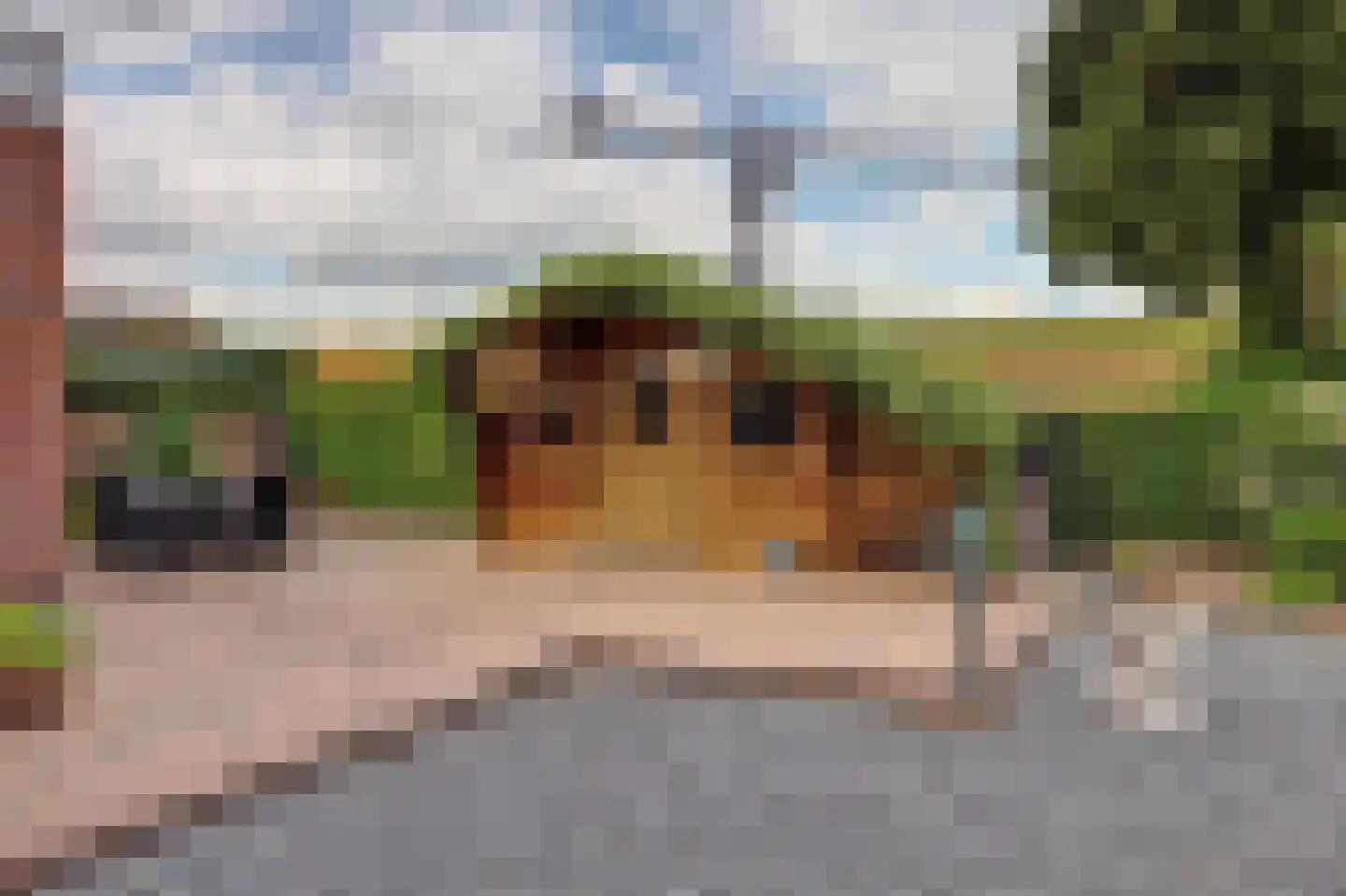 Graaf van Berghstraat 5 Millingen aan de Rijn thumbnail 44