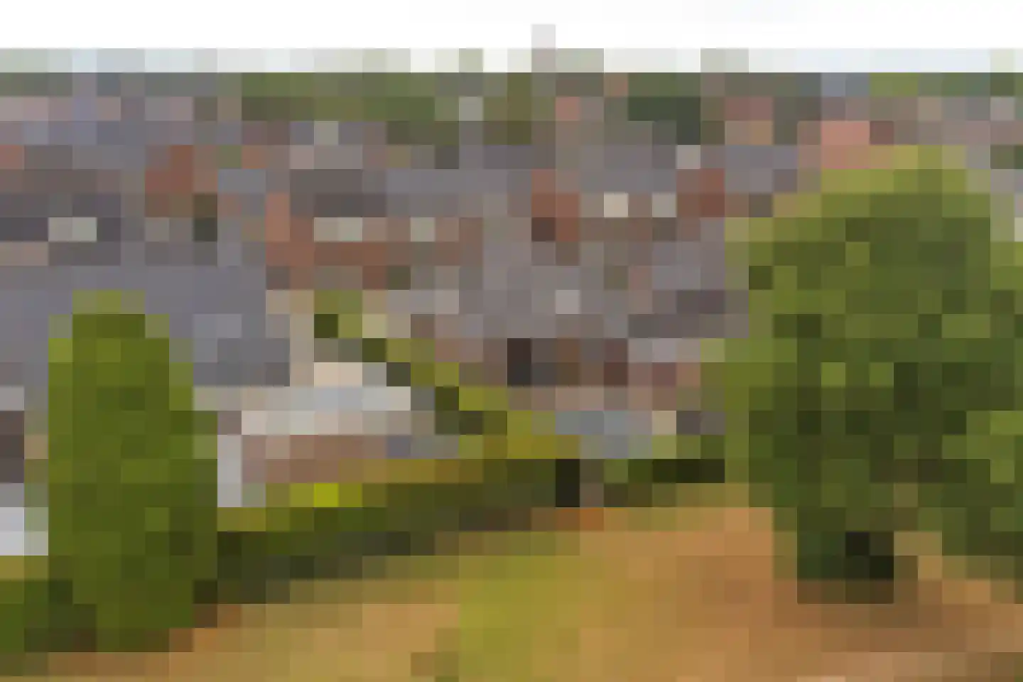 Graaf van Berghstraat 5 Millingen aan de Rijn thumbnail 48
