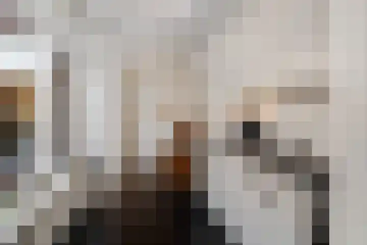 Graaf van Bloisstraat 15 Benthuizen thumbnail 15
