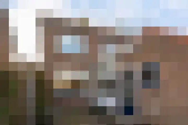 Graaf van Bloisstraat 15 Benthuizen thumbnail 19
