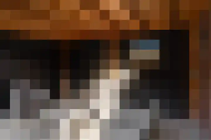 Graaf van Bloisstraat 15 Benthuizen thumbnail 24