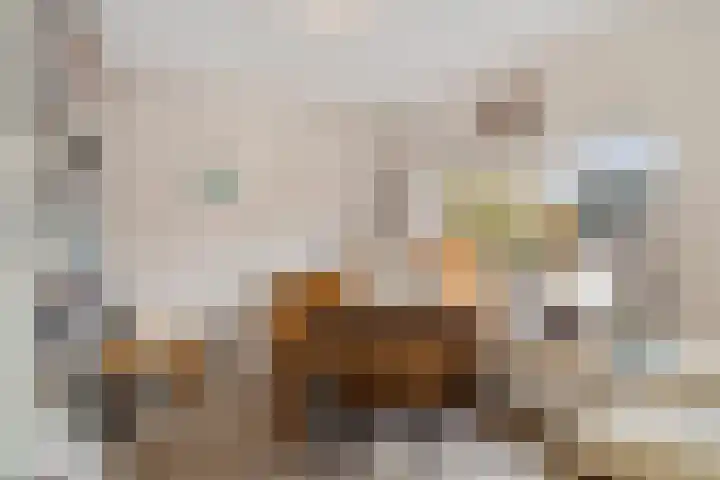 Graaf van Bloisstraat 15 Benthuizen thumbnail 34