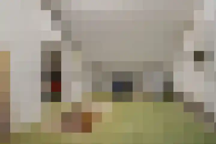 Graaf van Bloisstraat 15 Benthuizen thumbnail 40
