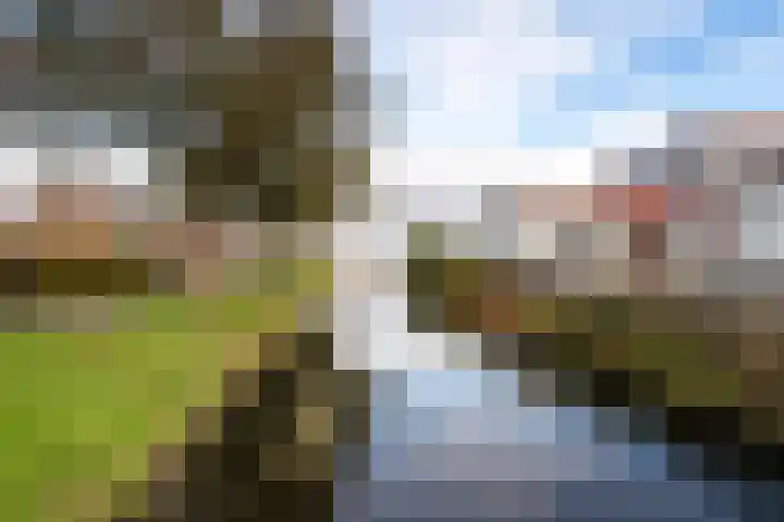 Graaf van Bloisstraat 15 Benthuizen thumbnail 48