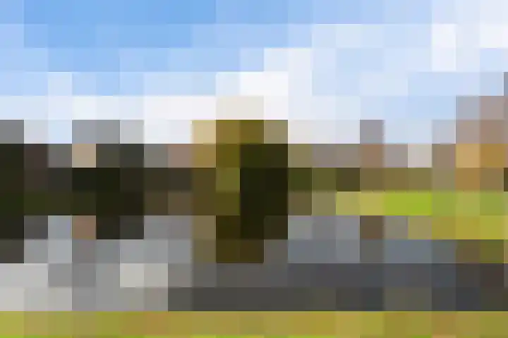 Graaf van Bloisstraat 15 Benthuizen thumbnail 50