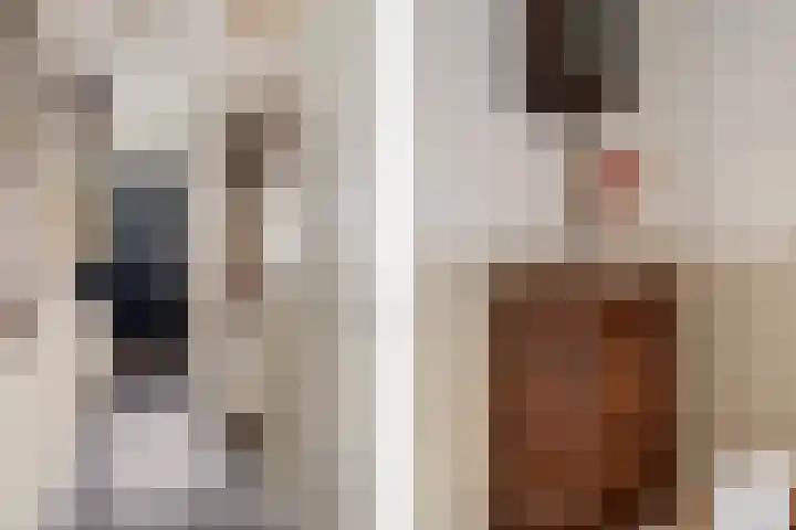 Graaf van Bloisstraat 15 Benthuizen thumbnail 6