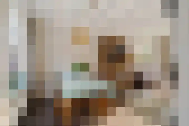 Graaf van Bloisstraat 15 Benthuizen thumbnail 8