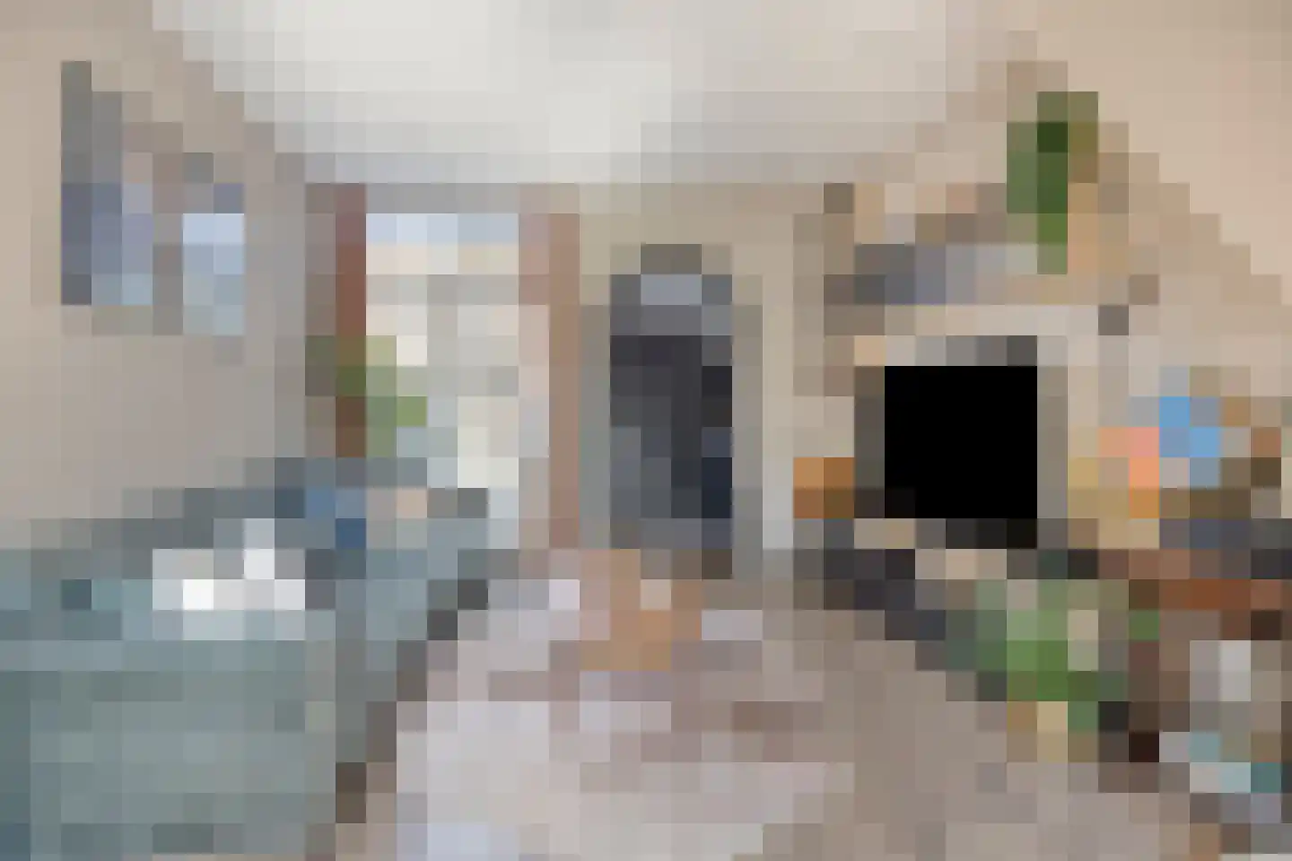 Graaf van Bloisstraat 38 Gouda thumbnail 10
