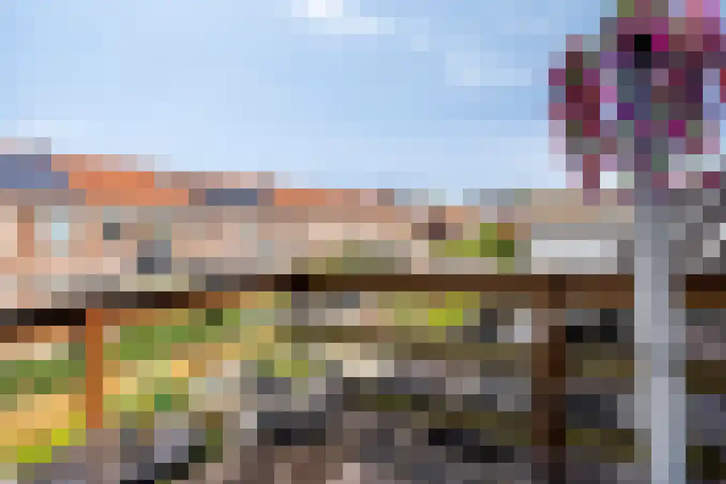 Graaf van Bloisstraat 38 Gouda thumbnail 24