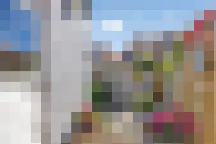 Graaf van Bloisstraat 44 Gouda thumbnail 15