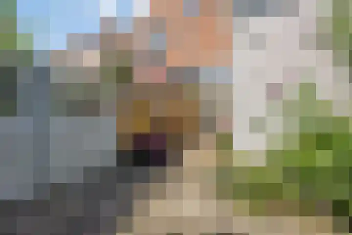 Graaf van Bloisstraat 44 Gouda thumbnail 17